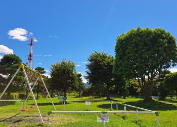 遊具広場ブランコと木登りの木20240820_132952