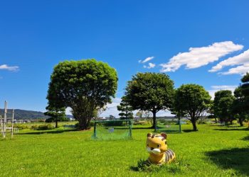 遊具広場虎と空20240820_132906