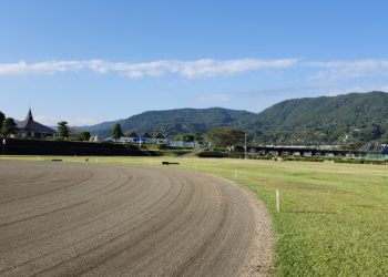 野球場20241108_144739